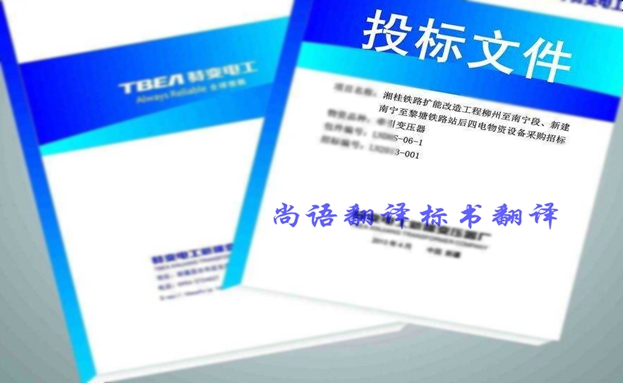 西班牙語(yǔ)投標(biāo)書翻譯價(jià)格要多少錢？收費(fèi)標(biāo)準(zhǔn)是什么？